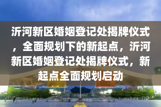 沂河新區(qū)婚姻登記處揭牌儀式，全面規(guī)劃下的新起點，沂河新區(qū)婚姻登記處揭牌儀式，新起點全面規(guī)劃啟動