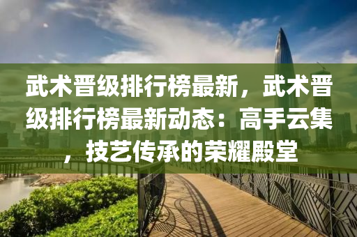 武術(shù)晉級排行榜最新，武術(shù)晉級排行榜最新動態(tài)：高手云集，技藝傳承的榮耀殿堂
