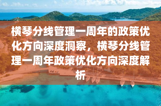 橫琴分線管理一周年的政策優(yōu)化方向深度洞察，橫琴分線管理一周年政策優(yōu)化方向深度解析