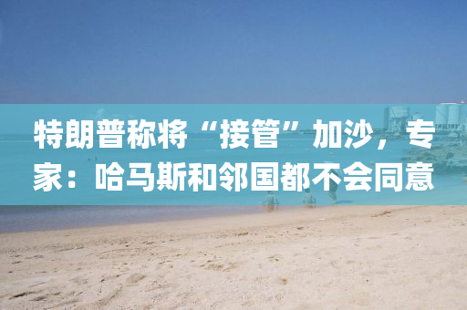 特朗普稱將“接管”加沙，專家：哈馬斯和鄰國都不會同意