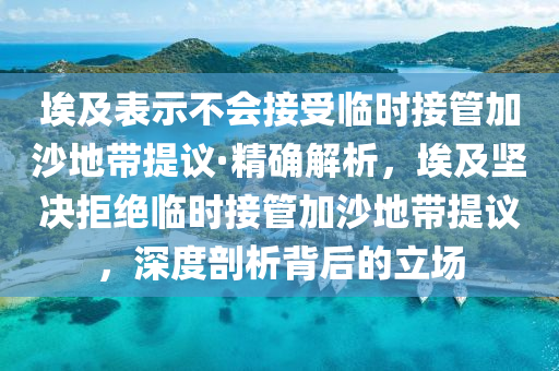 埃及表示不會接受臨時接管加沙地帶提議·精確解析，埃及堅決拒絕臨時接管加沙地帶提議，深度剖析背后的立場