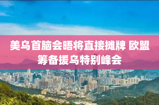 美烏首腦會(huì)晤將直接攤牌 歐盟籌備援烏特別峰會(huì)