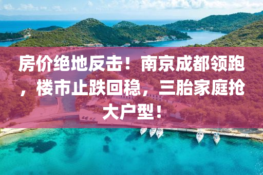 房價(jià)絕地反擊！南京成都領(lǐng)跑，樓市止跌回穩(wěn)，三胎家庭搶大戶型！