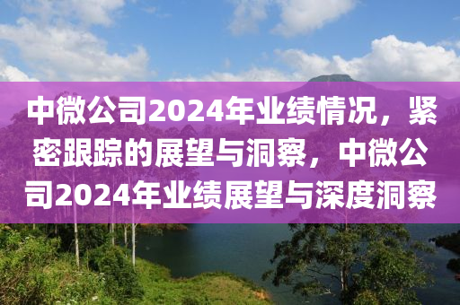 中微公司2024年業(yè)績情況，緊密跟蹤的展望與洞察，中微公司2024年業(yè)績展望與深度洞察