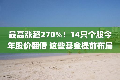 最高漲超270%！14只個股今年股價翻倍 這些基金提前布局
