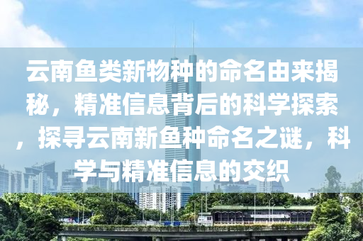 2025年3月1日 第5頁