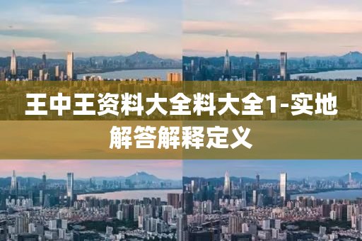 王中王資料大全料大全1-實地解答解釋定義