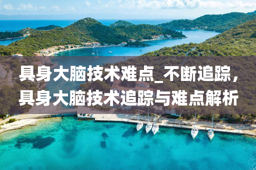 具身大腦技術(shù)難點(diǎn)_不斷追蹤，具身大腦技術(shù)追蹤與難點(diǎn)解析