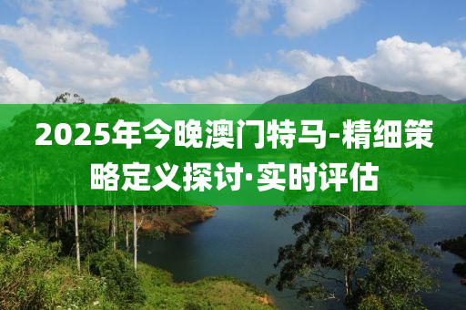 2025年今晚澳門特馬-精細策略定義探討·實時評估