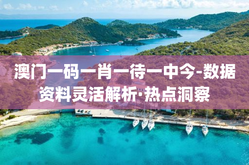 澳門一碼一肖一待一中今-數(shù)據(jù)資料靈活解析·熱點(diǎn)洞察