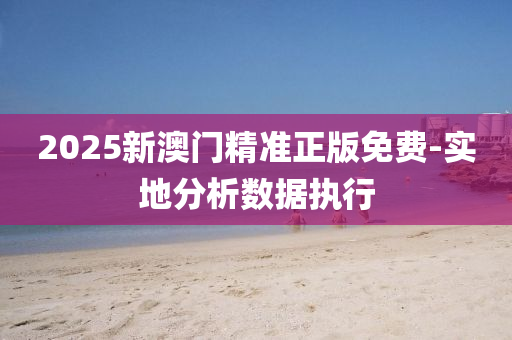 2025新澳門精準(zhǔn)正版免費(fèi)-實(shí)地分析數(shù)據(jù)執(zhí)行