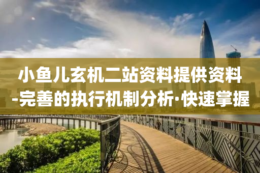 小魚兒玄機(jī)二站資料提供資料-完善的執(zhí)行機(jī)制分析·快速掌握