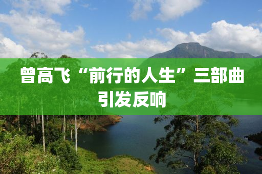曾高飛“前行的人生”三部曲引發(fā)反響