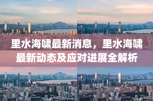 里水海嘯最新消息，里水海嘯最新動(dòng)態(tài)及應(yīng)對(duì)進(jìn)展全解析