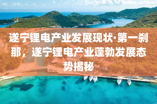 遂寧鋰電產(chǎn)業(yè)發(fā)展現(xiàn)狀·第一剎那，遂寧鋰電產(chǎn)業(yè)蓬勃發(fā)展態(tài)勢揭秘