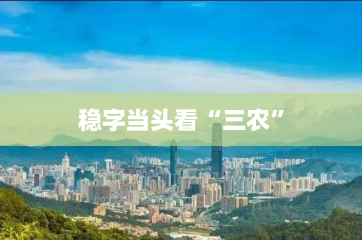 穩(wěn)字當(dāng)頭看“三農(nóng)”