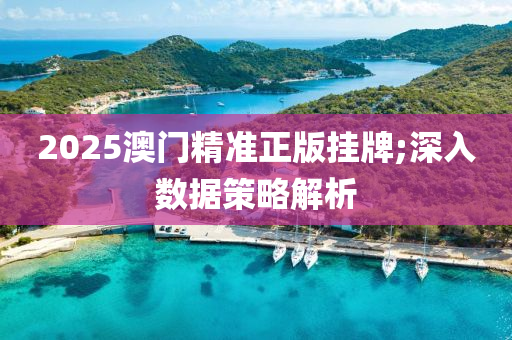 2025澳門精準(zhǔn)正版掛牌;深入數(shù)據(jù)策略解析