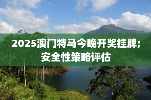 2025澳門特馬今晚開獎(jiǎng)掛牌;安全性策略評(píng)估