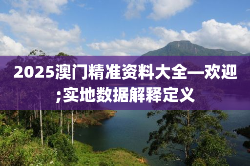 2025澳門精準資料大全—歡迎;實地數(shù)據(jù)解釋定義