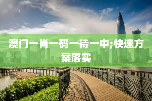 澳門一肖一碼一待一中;快速方案落實