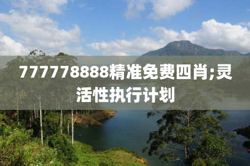 777778888精準(zhǔn)免費(fèi)四肖;靈活性執(zhí)行計(jì)劃