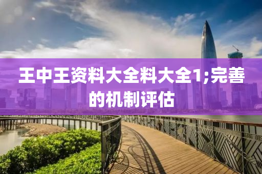 王中王資料大全料大全1;完善的機(jī)制評(píng)估