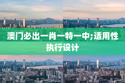 澳門(mén)必出一肖一特一中;適用性執(zhí)行設(shè)計(jì)