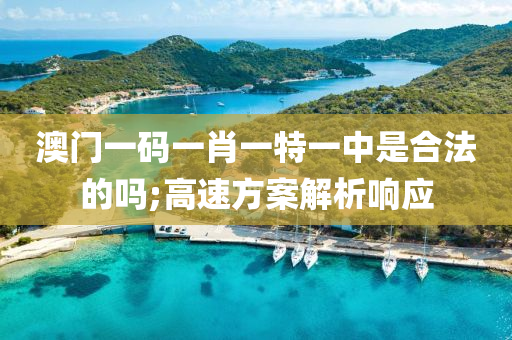 澳門一碼一肖一特一中是合法的嗎;高速方案解析響應(yīng)