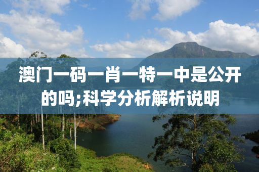 澳門一碼一肖一特一中是公開的嗎;科學(xué)分析解析說明