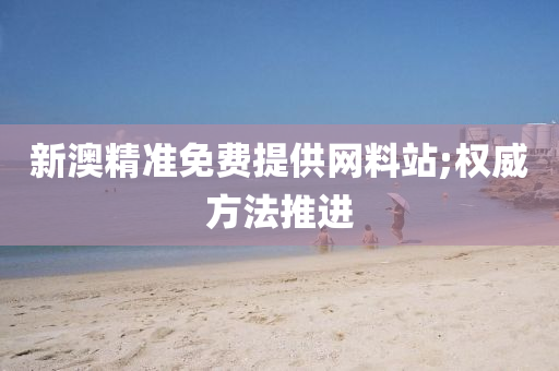 新澳精準(zhǔn)免費(fèi)提供網(wǎng)料站;權(quán)威方法推進(jìn)