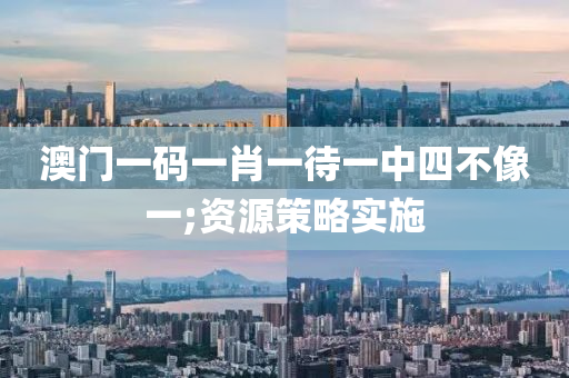 澳門一碼一肖一待一中四不像一;資源策略實施