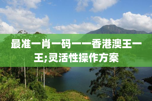 最準一肖一碼一一香港澳王一王;靈活性操作方案