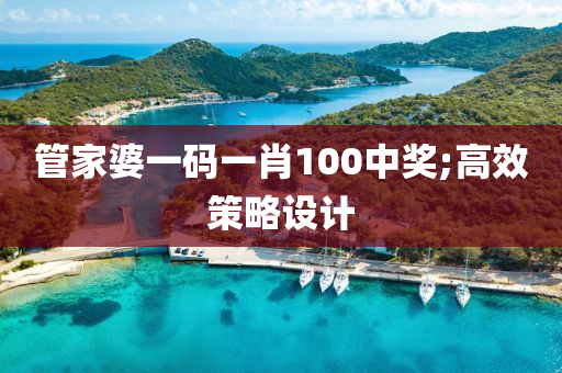 管家婆一碼一肖100中獎;高效策略設(shè)計