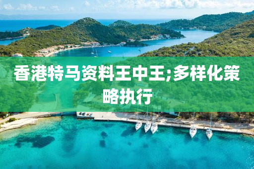 香港特馬資料王中王;多樣化策略執(zhí)行