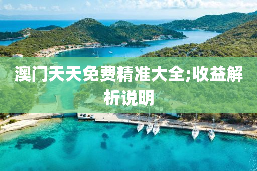 澳門天天免費(fèi)精準(zhǔn)大全;收益解析說明