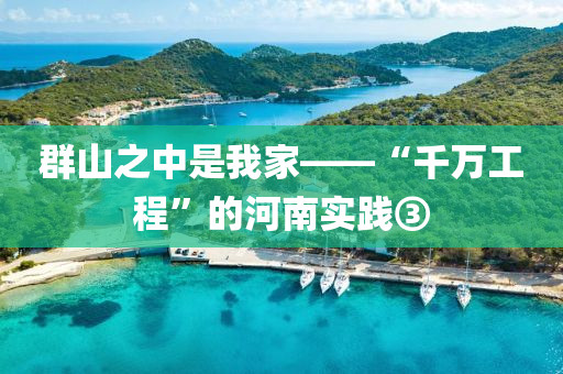 群山之中是我家——“千萬(wàn)工程”的河南實(shí)踐③