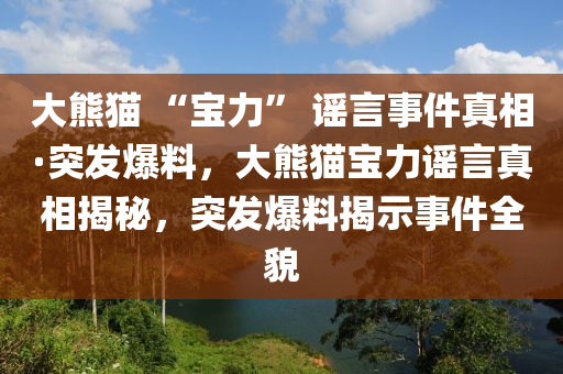 大熊貓 “寶力” 謠言事件真相·突發(fā)爆料，大熊貓寶力謠言真相揭秘，突發(fā)爆料揭示事件全貌