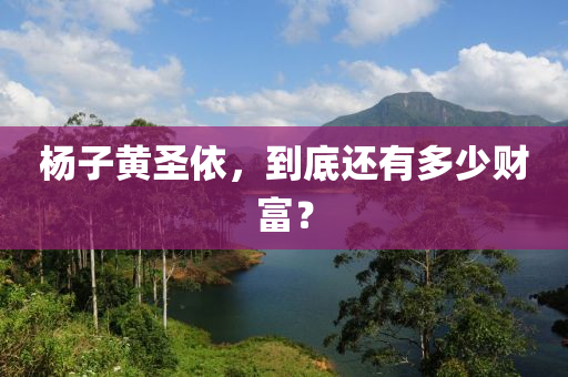 楊子黃圣依，到底還有多少財(cái)富？