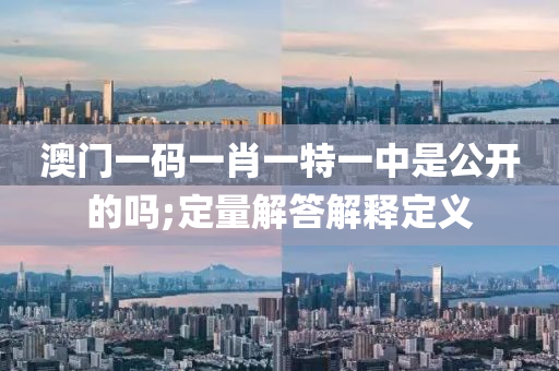 澳門一碼一肖一特一中是公開的嗎;定量解答解釋定義