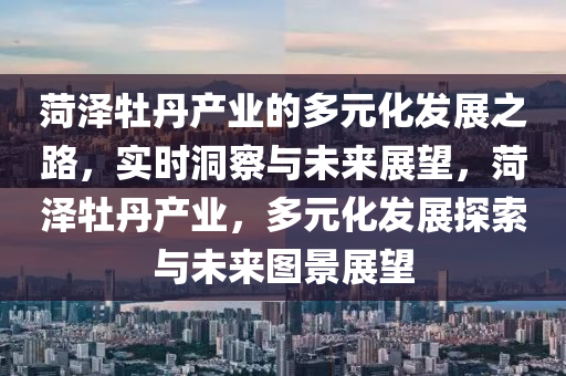 菏澤牡丹產(chǎn)業(yè)的多元化發(fā)展之路，實時洞察與未來展望，菏澤牡丹產(chǎn)業(yè)，多元化發(fā)展探索與未來圖景展望