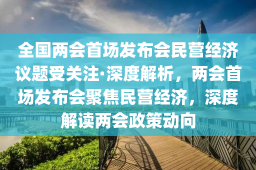 全國兩會首場發(fā)布會民營經(jīng)濟議題受關注·深度解析，兩會首場發(fā)布會聚焦民營經(jīng)濟，深度解讀兩會政策動向