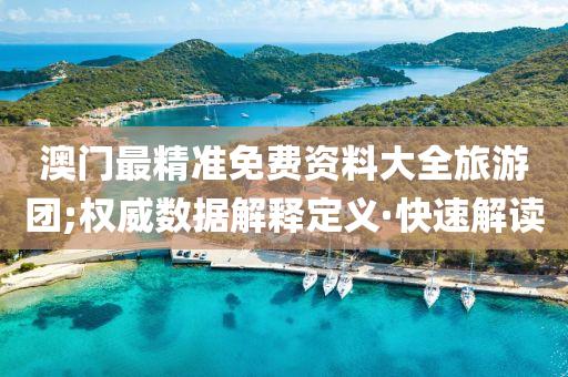 澳門最精準(zhǔn)免費資料大全旅游團(tuán);權(quán)威數(shù)據(jù)解釋定義·快速解讀