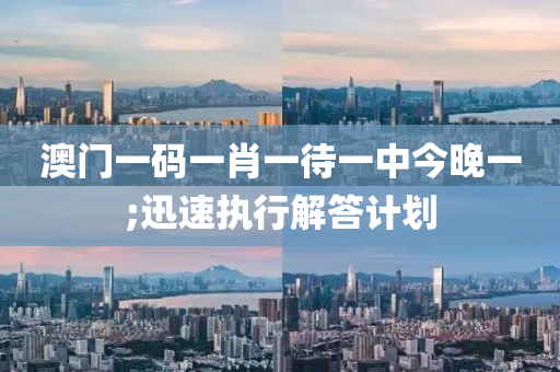 澳門一碼一肖一待一中今晚一;迅速執(zhí)行解答計劃