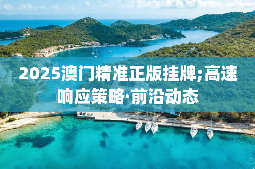 2025澳門精準正版掛牌;高速響應(yīng)策略·前沿動態(tài)