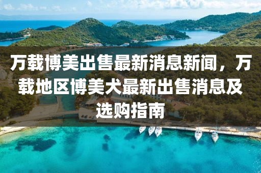 萬載博美出售最新消息新聞，萬載地區(qū)博美犬最新出售消息及選購指南