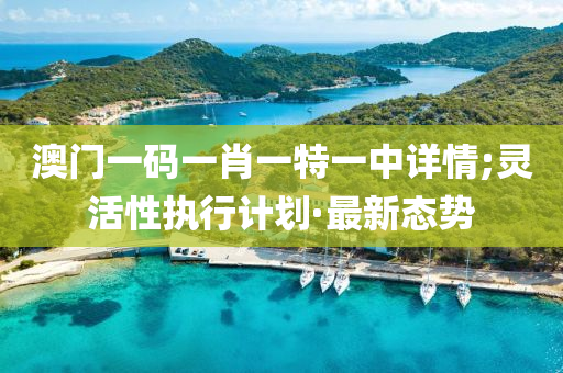 澳門一碼一肖一特一中詳情;靈活性執(zhí)行計(jì)劃·最新態(tài)勢(shì)