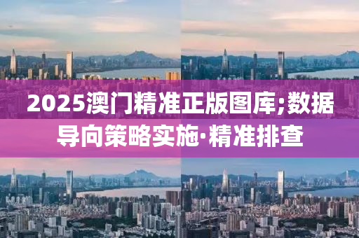 2025澳門精準正版圖庫;數(shù)據(jù)導(dǎo)向策略實施·精準排查