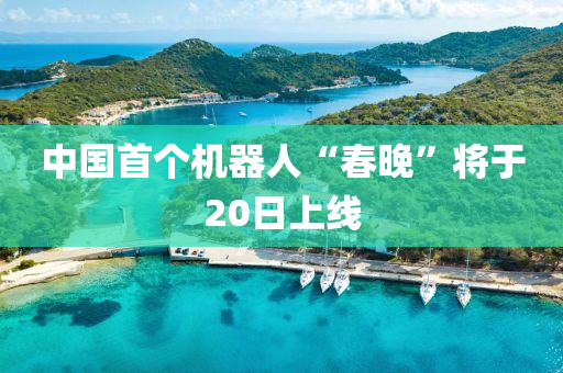 中國首個機器人“春晚”將于20日上線