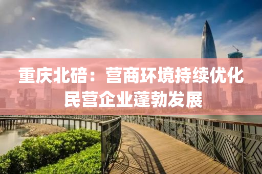 重慶北碚：營商環(huán)境持續(xù)優(yōu)化 民營企業(yè)蓬勃發(fā)展