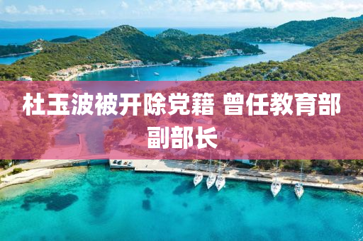 杜玉波被開(kāi)除黨籍 曾任教育部副部長(zhǎng)